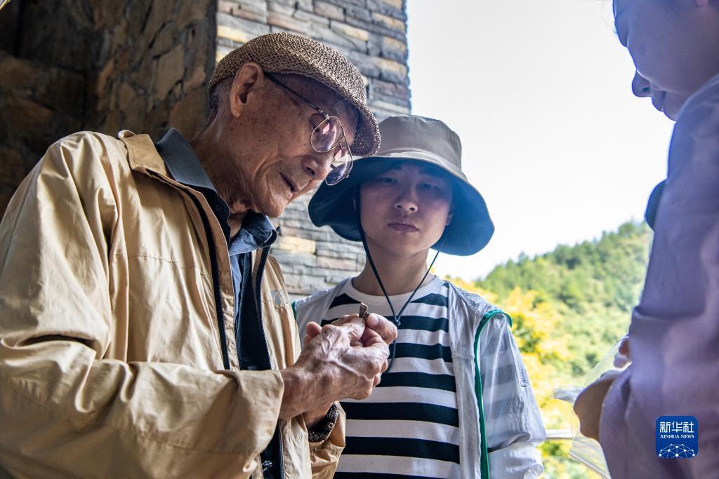 捕鱼金蟾去哪了电脑版
